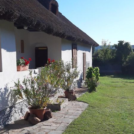 Country House Balaton 保洛兹瑙克 外观 照片