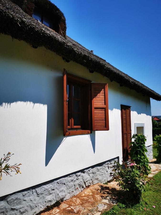 Country House Balaton 保洛兹瑙克 外观 照片