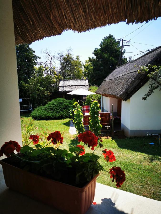Country House Balaton 保洛兹瑙克 外观 照片