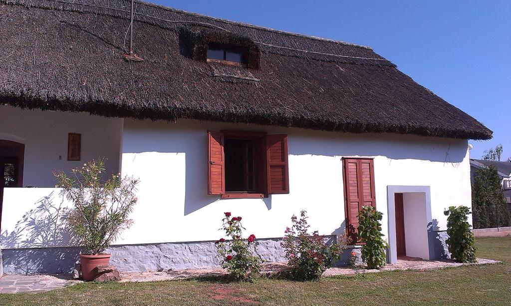 Country House Balaton 保洛兹瑙克 外观 照片